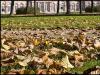 Schwetzingen Palace Garden in autumn